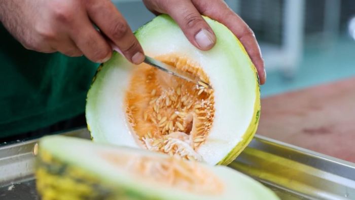  Gaziantep Büyükşehir, ata tohumlarına sahip çıkıyor